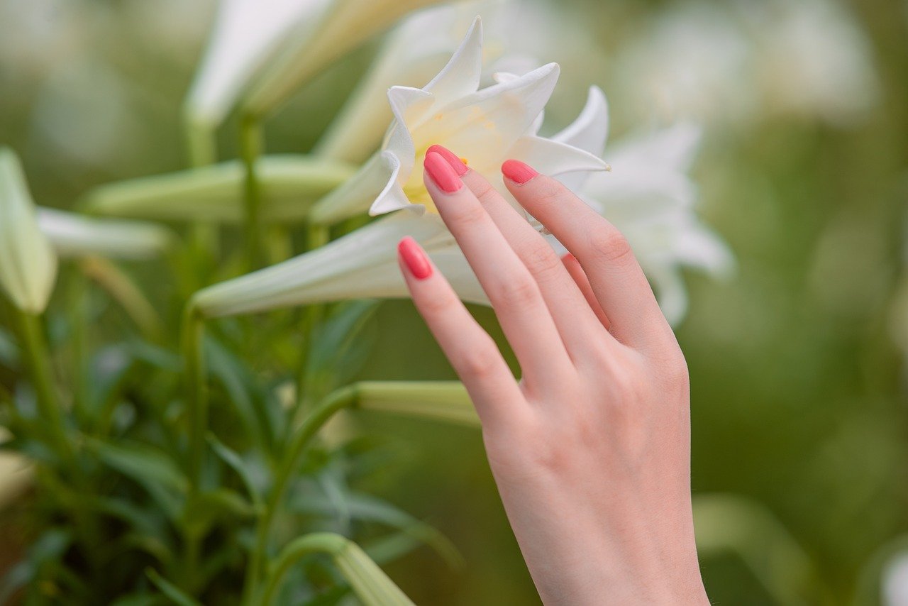 flowers, hand, nails, beautiful, bloom, beautiful flowers, blossom, nature, plant, petals, closeup, flower wallpaper, nails, flower background, nails, nails, nails, nails